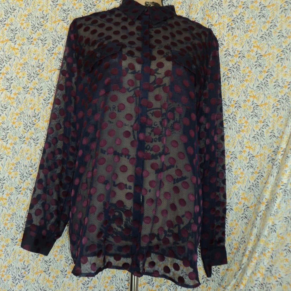 Shear Blouse - image 1